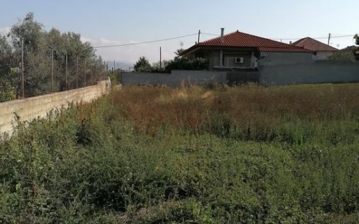 Πωλείται μονοκατοικία 40 τμ σε 2100τμ οικόπεδο εντός σχεδίου .