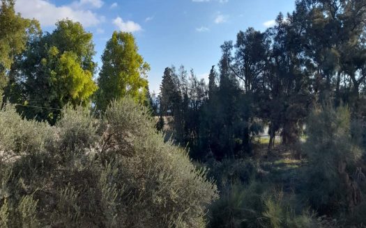 Ισθμια – Μονοκατοικία 200τμ – Οικόπεδο 1080 – Εντός σχεδίου , 200 μέτρα από θάλασσα