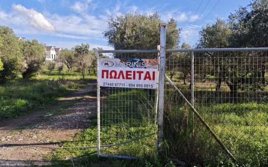 Πωλειται οικοπεδική έκταση 5000 μ2 περίπου , εντός της οποίας υπάρχουν 60 παραγωγικά ελαιόδεντρα