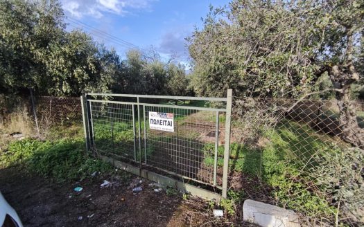 Πωλειται οικοπεδική έκταση 5000 μ2 περίπου , εντός της οποίας υπάρχουν 60 παραγωγικά ελαιόδεντρα