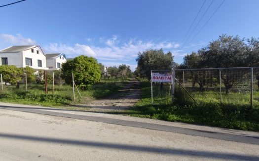 Πωλειται οικοπεδική έκταση 5000 μ2 περίπου , εντός της οποίας υπάρχουν 60 παραγωγικά ελαιόδεντρα