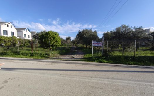 Πωλειται οικοπεδική έκταση 5000 μ2 περίπου , εντός της οποίας υπάρχουν 60 παραγωγικά ελαιόδεντρα