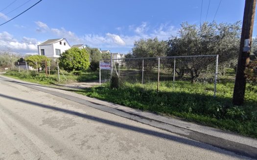 Πωλειται οικοπεδική έκταση 5000 μ2 περίπου , εντός της οποίας υπάρχουν 60 παραγωγικά ελαιόδεντρα