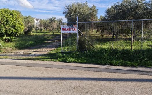 Πωλειται οικοπεδική έκταση 5000 μ2 περίπου , εντός της οποίας υπάρχουν 60 παραγωγικά ελαιόδεντρα